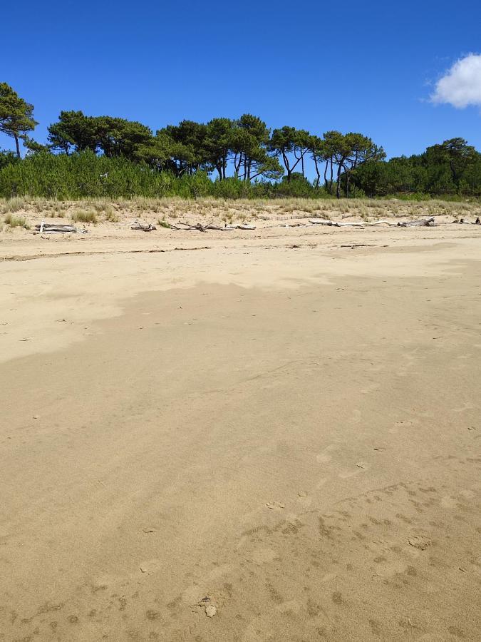 Idealement Situe, Tout A Pied, 60M2 Saint-Georges-de-Didonne Exterior photo